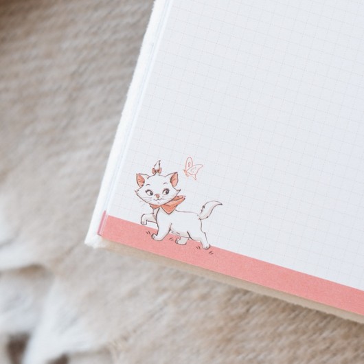 QUADERNO PREMIUM A5 COPERTINA FELPATA DISNEY BONJOUR MINOU