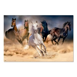 POSTER FIVE HORSES