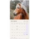 CALENDARIO 2027 30X30 CAVALLI