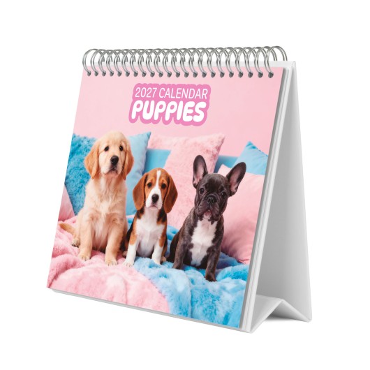 CALENDARIO DA SCRIVANIA 2027 CAGNOLINI