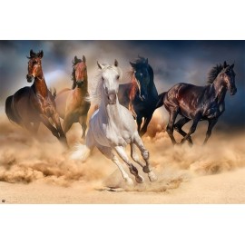 POSTER FIVE HORSES