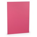 FOLIO A4 COLORETTI 10 UNIDADES FUCSIA