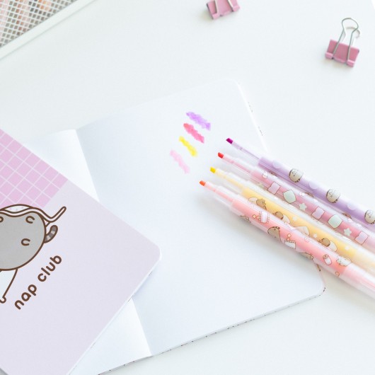 CONJUNTO DE ESCRITA PUSHEEN MOMENTS