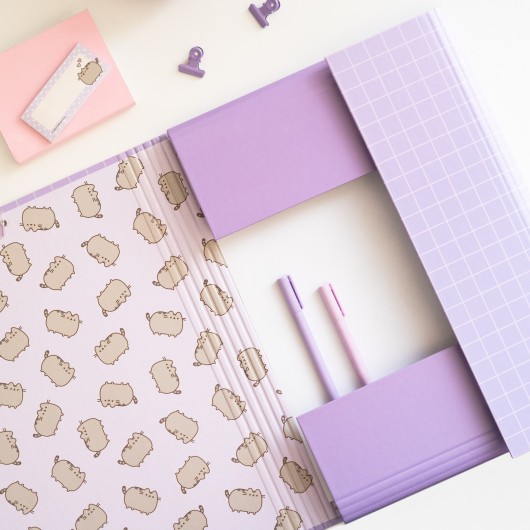 CAPA PEGAS PUSHEEN MOMENTS