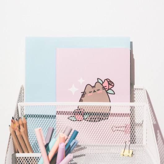 PACK 3 CADERNOS A5 PUSHEEN MOMENTS