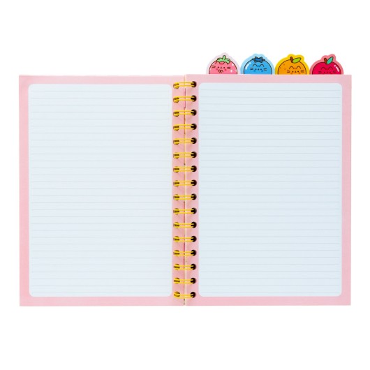 PROJECT NOTEBOOK PUSHEEN FRUITS