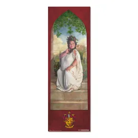 POSTER PORTA HARRY POTTER GRYFFINDOR PASSWORD