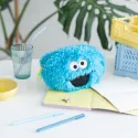 ESTOJO PELUCIA SESAME STREET