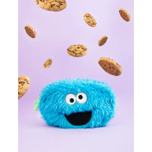 ESTOJO PELUCIA SESAME STREET