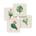 CONJUNTO 4 BASES PARA COPOS BOTANICAL CACTI