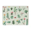 SET 4 SALVAMANTELES BOTANICAL CACTI