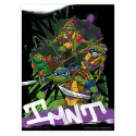 CONJUNTO MINIPOSTERS TARTARUGAS NINJA