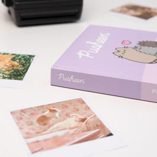 ALBUM DE FOTOS 16X16CM 24 PAGINAS AUTOCOLANTES PUSHEEN MOMENTS