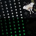 CALENDÁRIO LUNAR 2026 ASTRAL