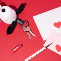 PORTA CHAVES SNOOPY LOVE SEASON