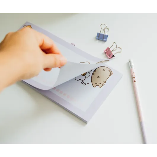 NOTAS MAGNETICAS PUSHEEN MOMENTS