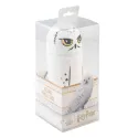 ESTOJO 3D HARRY POTTER HEDWIG