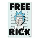 POSTER RICK E MORTY FREE RICK