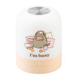 CANDEEIRO DE AMBIENTE PUSHEEN