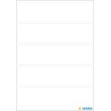 AUTOCOLANTES VARIO 21X82MM BRANCO