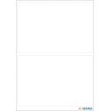AUTOCOLANTES VARIO 55X82MM BRANCO