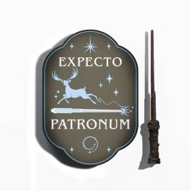 CANDEEIRO HARRY POTTER EXPECTO PATRONUM