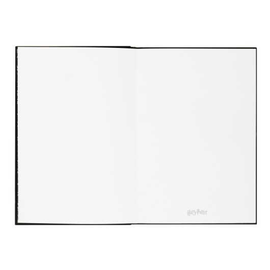 CADERNO PREMIUM A5 COM LUZ HARRY POTTER LUMOS MAXIMA