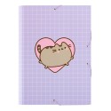 CAPA PEGAS PUSHEEN MOMENTS