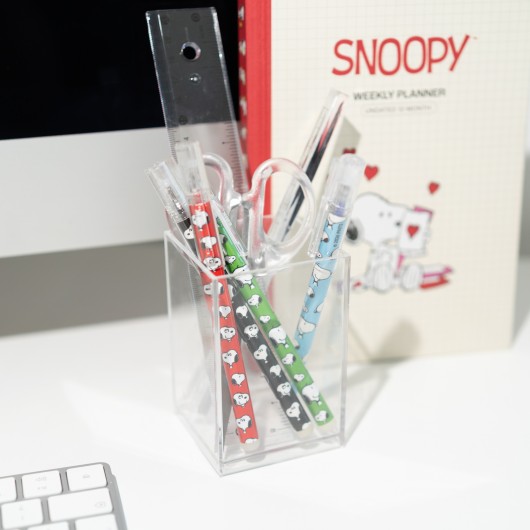 CONJUNTO DE ESFEROGRAFICAS APAGAVEIS SNOOPY