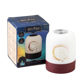 CANDEEIRO DE AMBIENTE HARRY POTTER HEDWIG 2