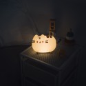 CANDEEIRO SQUISHY PUSHEEN
