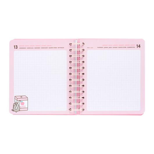 AGENDA ESCOLAR 2026/2027 DIA POR PÁGINA M 11 MESES PUSHEEN